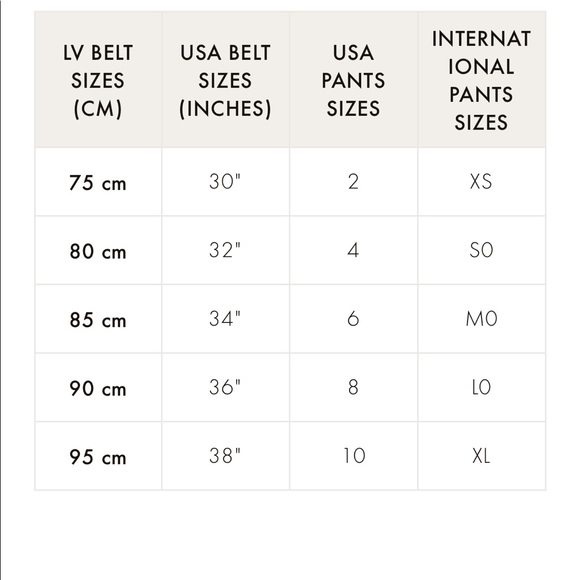 Limited Edition LV Essential V 30mm Beltin Reverse - Picture 11 of 11
